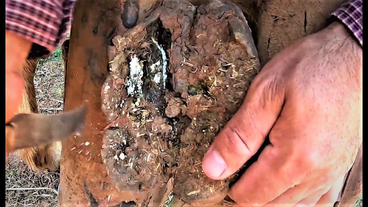 5 anos sem  MEXER ... satisfatório