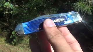 CASExx Cheetah Automatic (Custom Conversion) Switchblade