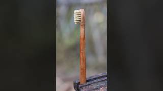 How To Make Toothbrush From Wood #Shorts
