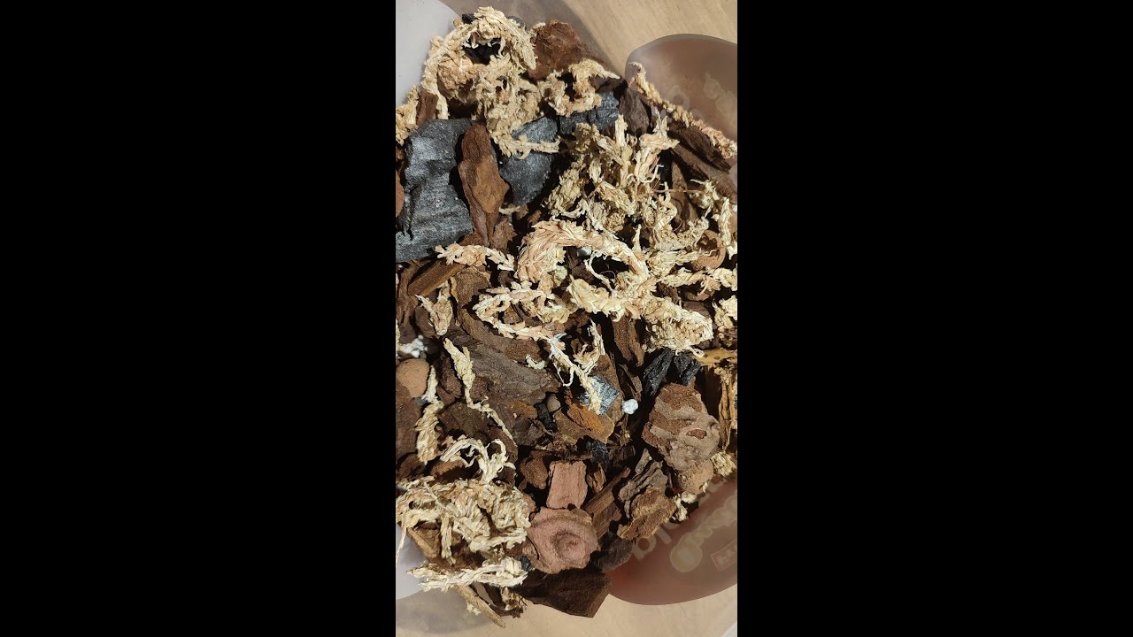 Supstrati za uzgoj orhideja