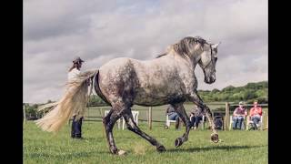 Frédéric Pignon Delgado Magali Delgado Frédéric Pignon La P