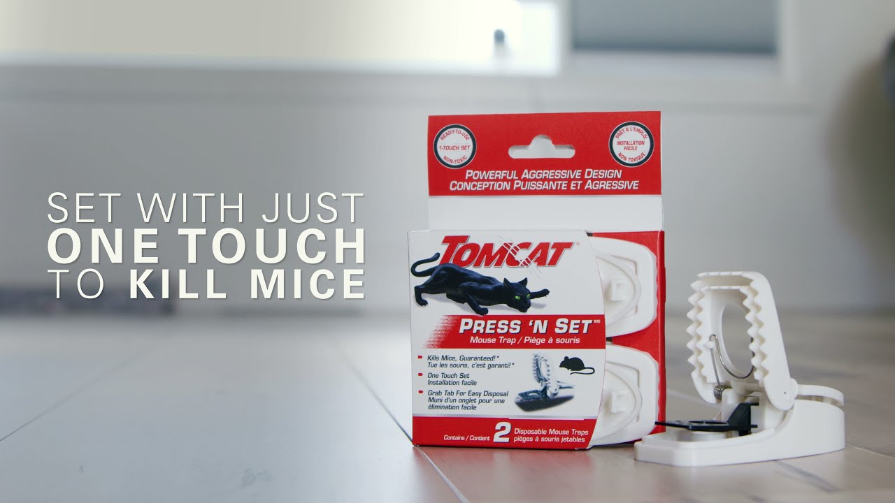 How To Get Rid of Mice With Tomcat Press N Set Mouse Trap 