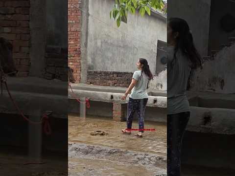 Barish ki Jaaye (lyrics)🌧️❤️‍🩹 | B Praak |sad whatsapp status#barish song#viralshort#treanding#viral