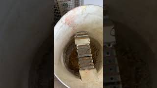 Electric Mouse Trap New Version Comeing Soon.