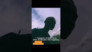 Download Lagu I Tried The Halluctnating Mad Honey And This Happened To Me || Full Video Uploading Tonight Guys MP3