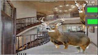 Five Nights At Buckys