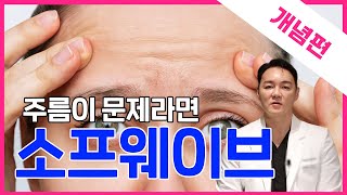 🤔 소프웨이브가 뭐야? 💡 주름 &amp; 탄력 관리 필수템 | 시술위키 개념편