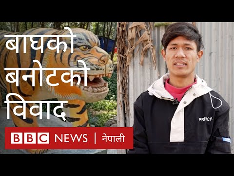 ‘पन्ध्र २० लाख ज्याला पाएको भए मैले बोल्ने जस्तै साँच्चिकै बाघ जस्तै बनाइदिन्थे’