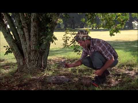 Carl vs the Gopher Part 2