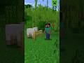 BAMBOOZLING WITH BAMBOO!