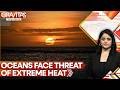 Indian Ocean Reaches Dangerous Heat Levels As Marine Heatwaves Intensify | GRAVITAS