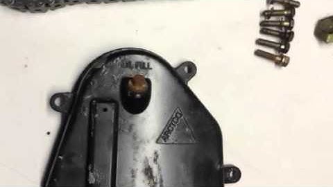 Arctic Cat chaincase complete