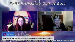Jenny Lee Seer And Psychic Medium With Gail Of Gaia On Free Range- Part 2