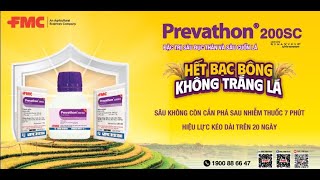 PREVATHON® 200SC - MỚI VÀ MẠNH HƠNĐẶC TRỊ : SÂU ĐỤC THÂN VÀ SÂU CUỐN LÁ | BẢO VỆ CÂY TRỒNG TỨC THỜI