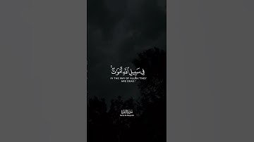 تلاوة من ليلة 3 رمضان للقارئ محمد اللحيدان، { ٱسۡتَعِینُوا۟ بِٱلصَّبۡرِ وَٱلصَّلَوٰةِۚ }