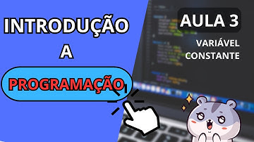 O QUE É UMA VARIÁVEL E UMA CONSTANTE? - Introdução a programação