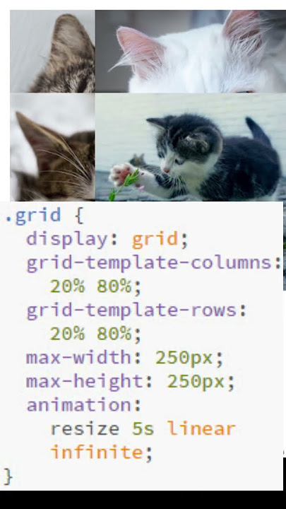 CSS animated grid rows and columns