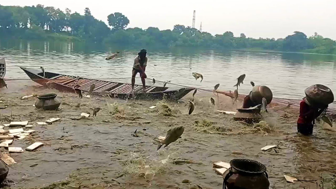 Bangladeshi Flying Fish Catching How to fishing Flying Fish YouTube