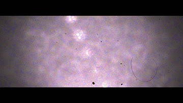 Chava Intro | By ~ MonsterFX (Love the song♥)