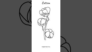 Step by Step Cotton Plant Drawing