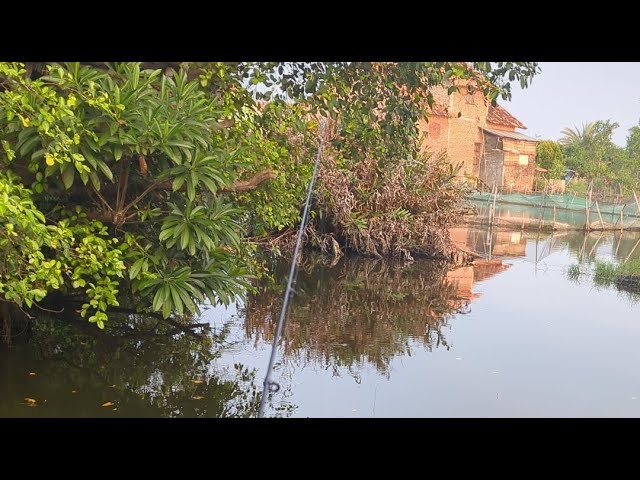 Kotomono angler sedang live mancing nila