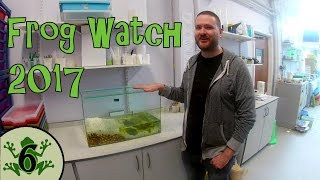 Frog Watch 2017 - Feeding The Tadpoles [6]