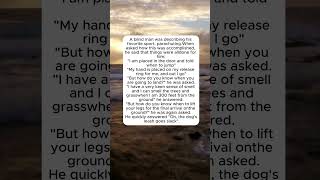 Parachuting #blind #sports #funny #dog #comedy #jokes #humor #parachuting #smart #senses #shorts