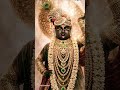 Radhe Krishna #love #delhi #youtubeshorts #motivation #song #viral #viralshorts #trending #bhakti