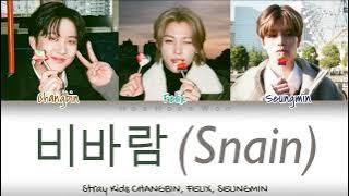 [SKZ-RECORD] Stray Kids 'Changbin, Felix, Seungmin' - '비바람 (Snain)' [Han/Rom/Eng] Color Coded Lyrics