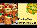 How To Place Your Lucky Money Cat to Attract Wealth and Prosperity Energy