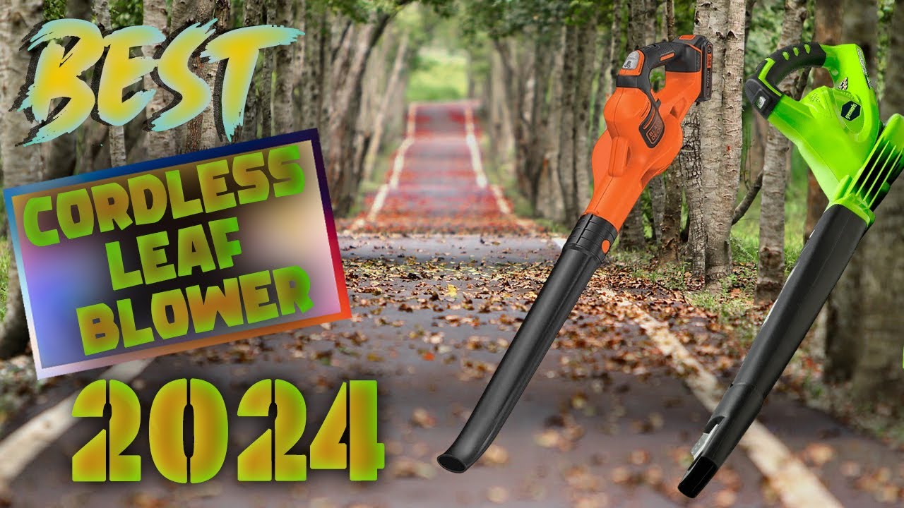 The 6 Best Leaf Blowers of 2024