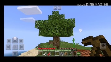 Herobrine sighting part 2