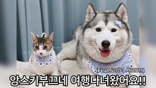 앙스키 부끄네 여행다녀왔어요!! (Feat.고양이 시끄도!!)