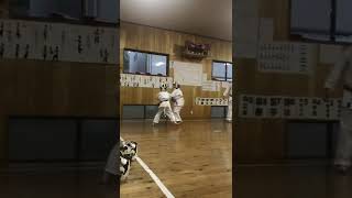 Kumite Training. The Importance Of Speed, Timing, Accuracy Agility To Score Just 1 Point In Combat