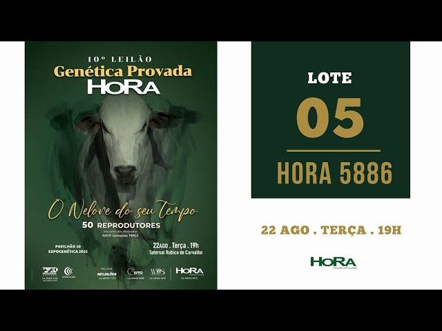 LOTE 05: HORA 5886 - REM GLADIADOR x TRUCK DA ALO BRASIL