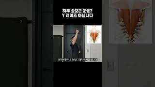 하부 승모근 운동? Y레이즈 아닙니다