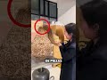 Parece Que Se Rompió... Pero Así Es Como Funciona 🤯