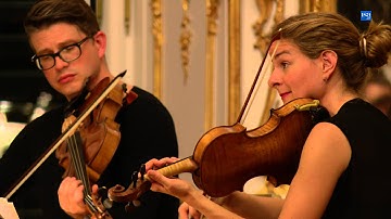 Joseph Haydn: String Quartett Op 20/4 - Galatea Quartet