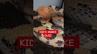 What genus does this snake belong to? Kids under 17, please comment!