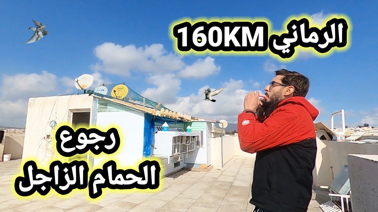 في إنتظار الحمام الزاجل من مطلق الرماني 160 كيلومتر