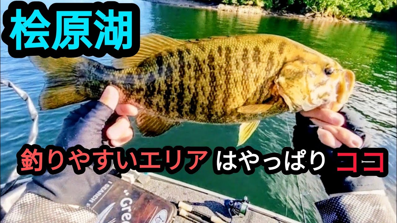 【桧原湖バス釣り】【9月】釣りやすいエリアはやっぱりココでした！