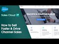 Salesforce for partner sales demo   sales cloud  salesforce