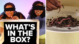 What's In The Box Challenge Ft. Cocoa Butter