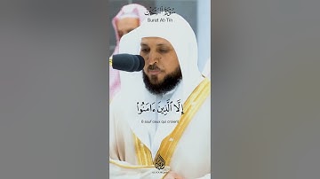 Surah At-Tîn - Maher Al Muaiqly سورة التين - ماهر المعيقلي #quran #قرآن #ماهر_المعيقلي