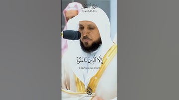 Surah At-Tîn - Maher Al Muaiqly سورة التين - ماهر المعيقلي #quran #قرآن #ماهر_المعيقلي