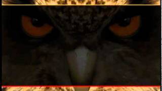 Famous EagleEyes AVTECH EagleEyes on iPhone for AVTECH DVR Net Worth