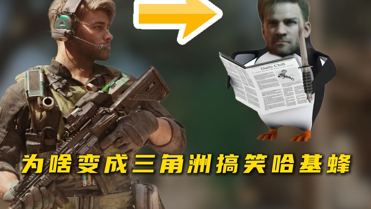 【三角洲行动】蜂医究竟是怎么变成搞笑“哈基蜂”的？