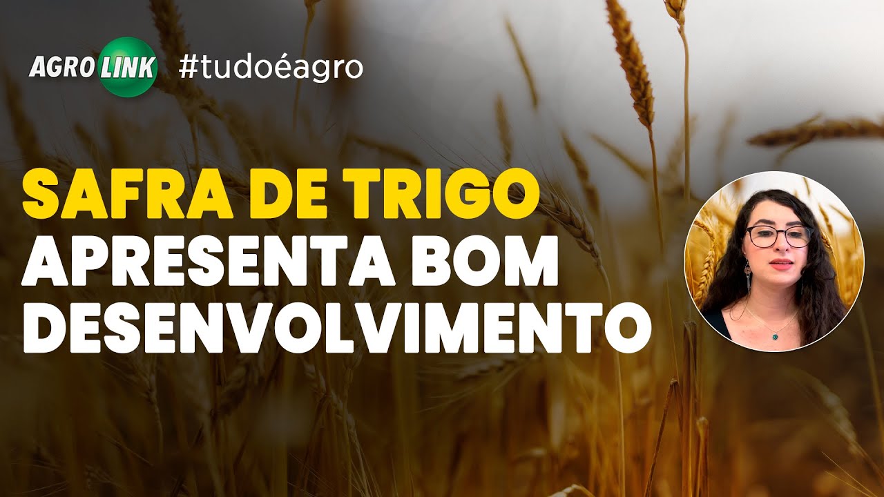 AGROLINK  O Portal do conteúdo Agropecuário. Confira: Noticias