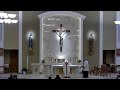 St. Francis of Assisi: Holy Mass (Friday, April 26th, 8am)