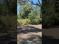 Vacant Land / Palm Bay Florida